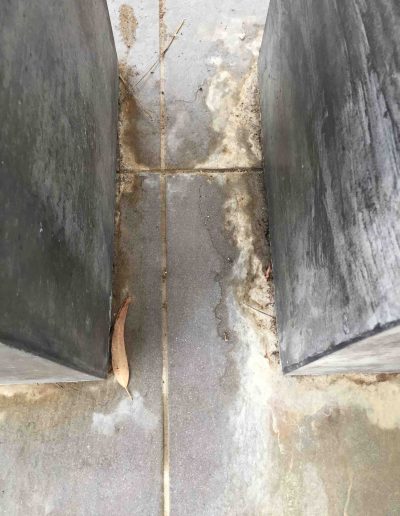 Lucid Exteriors body corporate cleaning