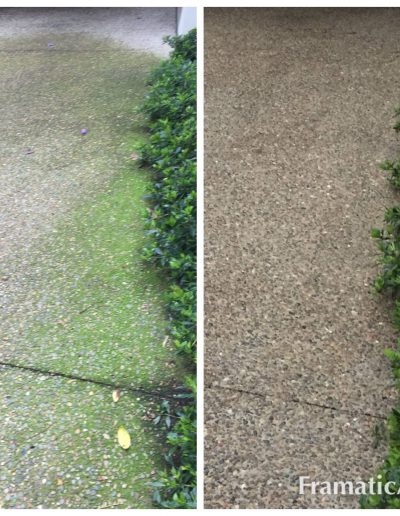 how to clean driveway mold